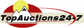 TopAuctions24-7 Logo